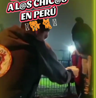 Alimentar a los ANIMALITOS de la calle 20/7/25